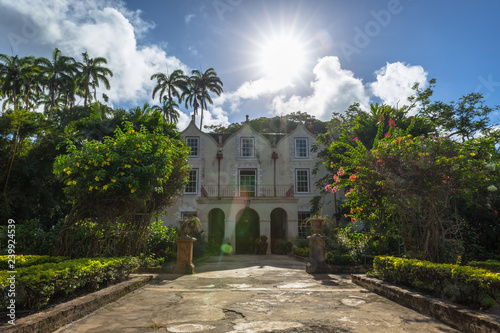 plantation in barbados
