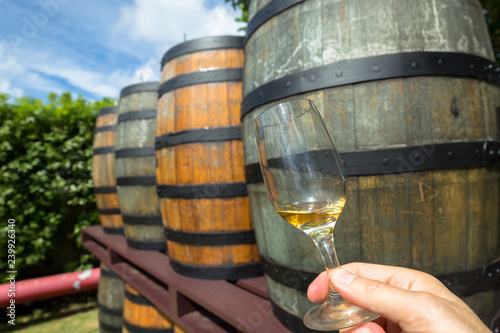rum tour barbados