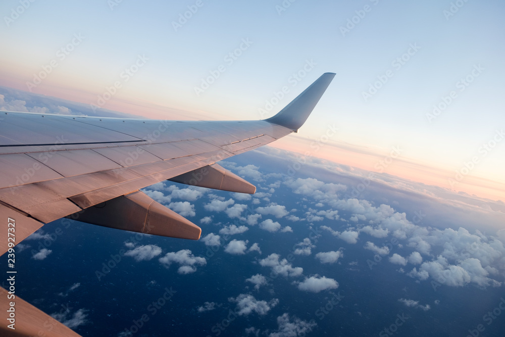 飛行機の窓から見た景色