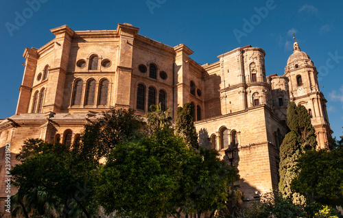 Malaga Cathedral