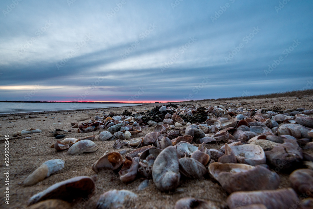 Montauk Sunset and seashells