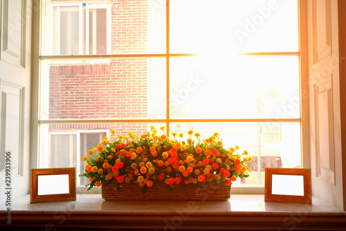 flower vases beside the window in the morning