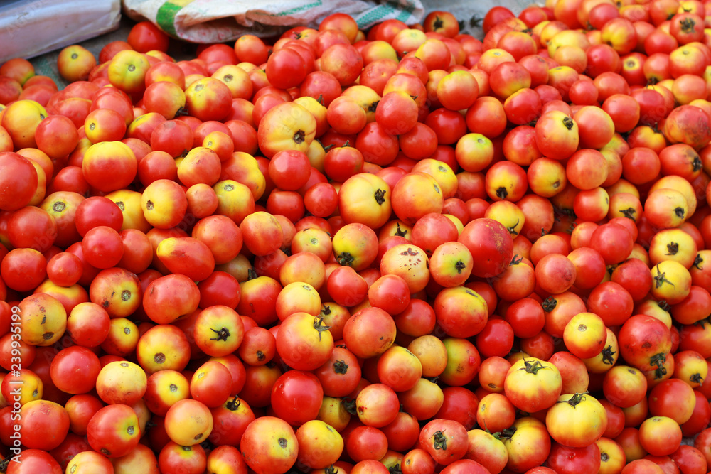 Tomato are in sale at open market Tomato are in sale at open market