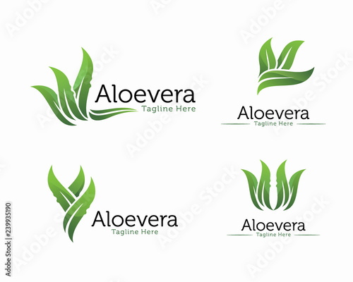 Fresh Aloe vera logo design vector, Cosmetic or shampoo logo template