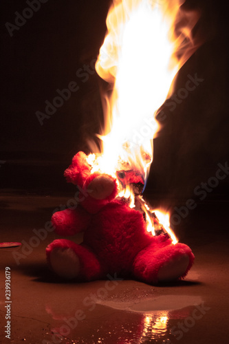 Fiery revenge of a teddy bear