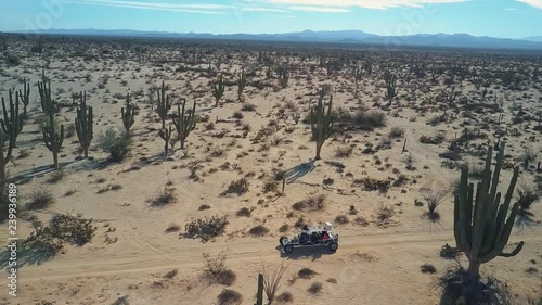 Dune Buggy Travels Through Cardon Cactus Covered Landscape. Aerial View. photo