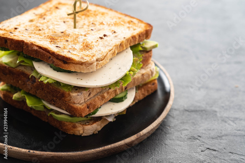 Healthy Homemade Vegetarian Veggie Sandwich with Lettuce. cucumber, avocado, Cheese. Copy space.