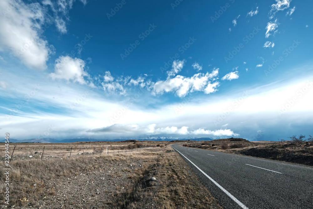 Road Trip in New Zealand