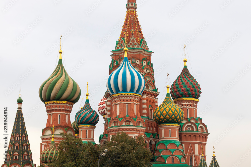 Colorful domes in Saint Basilic Cathedral in Moscow isolated on a white background