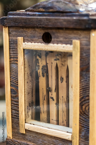 Bees on a wooden box to make honey
