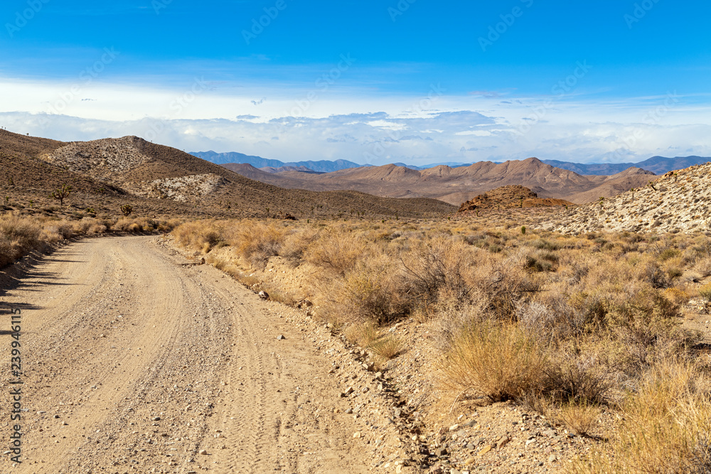 Dirt road in the desert on the way to Gold Point, Nevada, USA