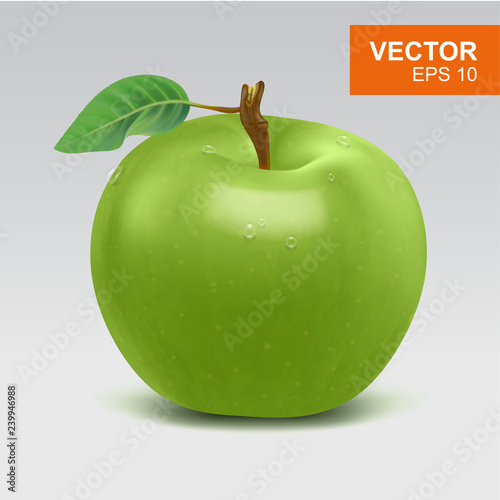 Realistic whole green apple vector clipart, icon, mockup with green leaf and water drop