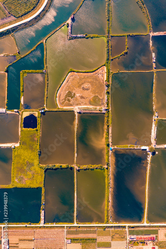 Irrigation