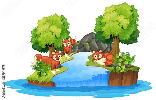 Isolated fox in island