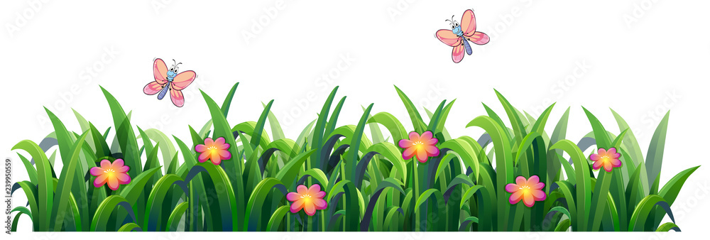 Isolated grass for decor Isolated grass for decor