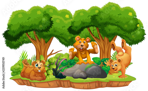 Bear on isolated jungle island