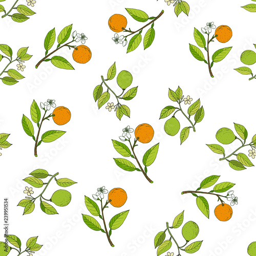 Orange and bergamot branches seamless pattern