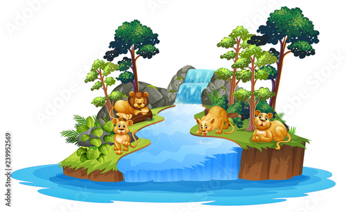 Isolated lion in island