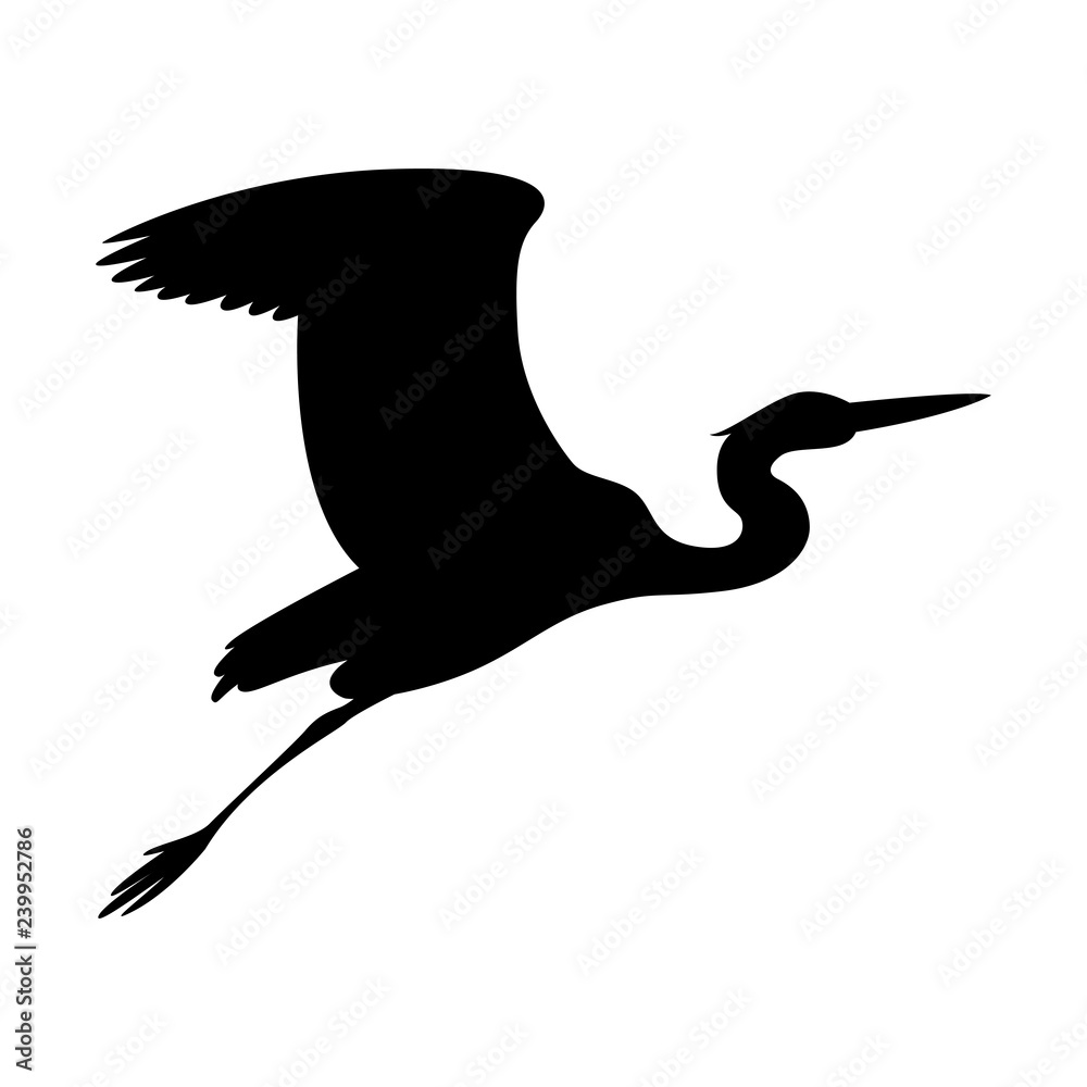 Fototapeta premium heron flying, vector illustration , black silhouette