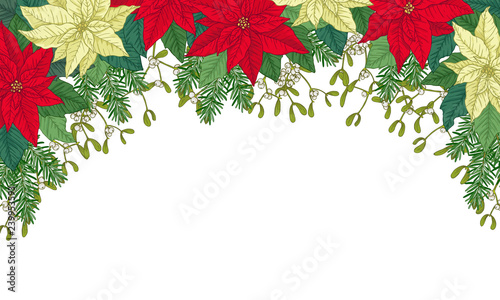 Christmas frame made of red and white poinsettia, leaves, fir and mistletoes. Vector objects on white background.