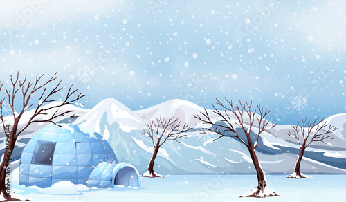 A white winter landscape