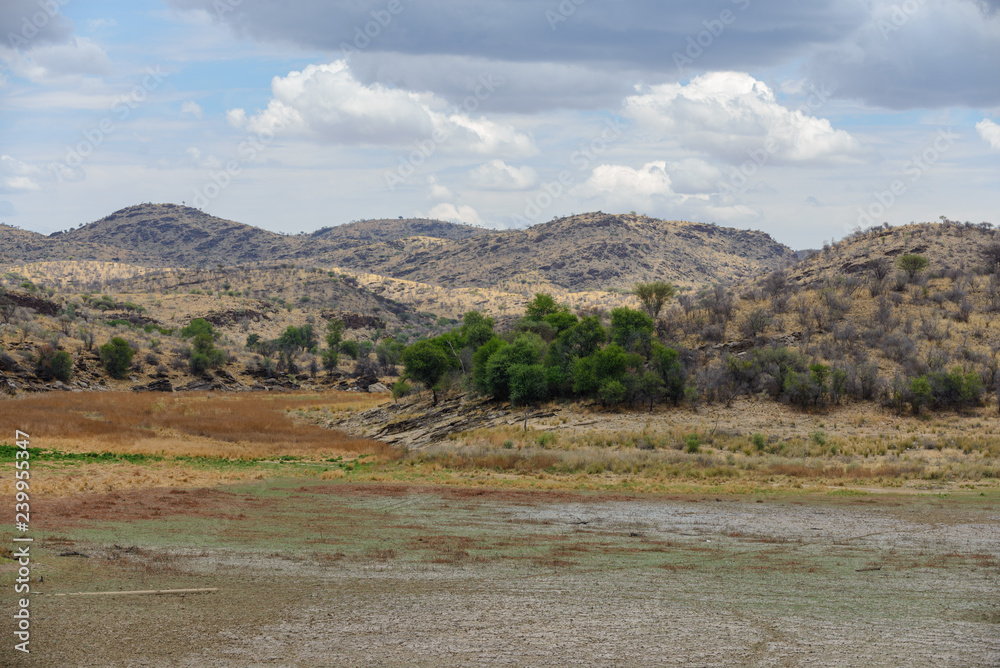 African landscape with tree