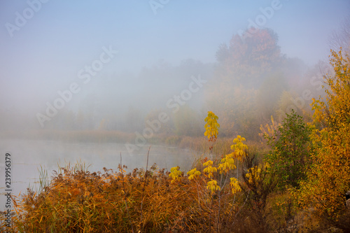 Magical sunrise over the lake. Misty morning, rural landscape. Lakeshore in autumn. Beautiful wild nature