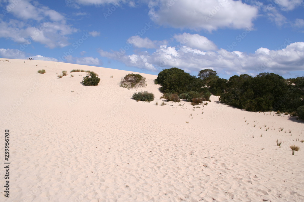 Little Sahara, Kangaroo Island, South Australia Little Sahara, Kangaroo Island, South Australia