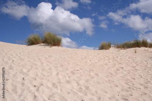 Little Sahara, Kangaroo Island, South Australia