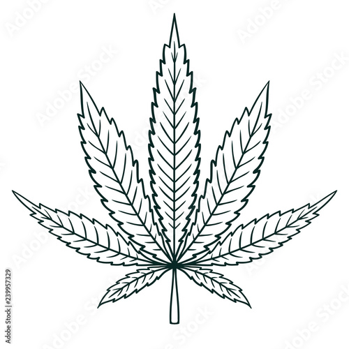 Cannabis (Marijuana) Leaf in Flat Vintage Style. Contour image sheet