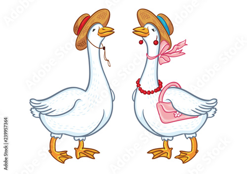 Pair of geese with a hat, sketch on a white background, cartoon funny goose, poultry domestic nature character