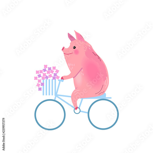 Pig on a bike with flowers. A pig and a basket of flowers. Vector illustration.
