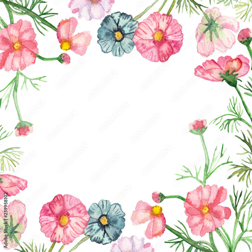 Watercolor frame delicate pink, lilac and blue flowers on green stems with needle leaves with falling petals isolated on white background.