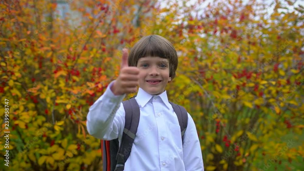 Portrait of smiling happy cute boy schoolboy with backpack laughing to camera outdoors. First-grade student having fun, primary school, first grader first class, kid child schoolchild day of knowledge Portrait of smiling happy cute boy schoolboy with backpack laughing to camera outdoors. First-grade student having fun, primary school, first grader first class, kid child schoolchild day of knowledge