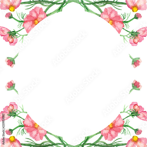 Watercolor frame delicate pink flowers on green stems with needle leaves isolated on white background. © Natalia
