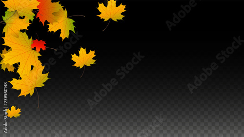 September Vector Background with Golden Falling Leaves. Autumn Illustration with Maple Red, Orange, Yellow Foliage. Isolated Leaf on Transparent Background. Bright Swirl. Suitable for Posters.