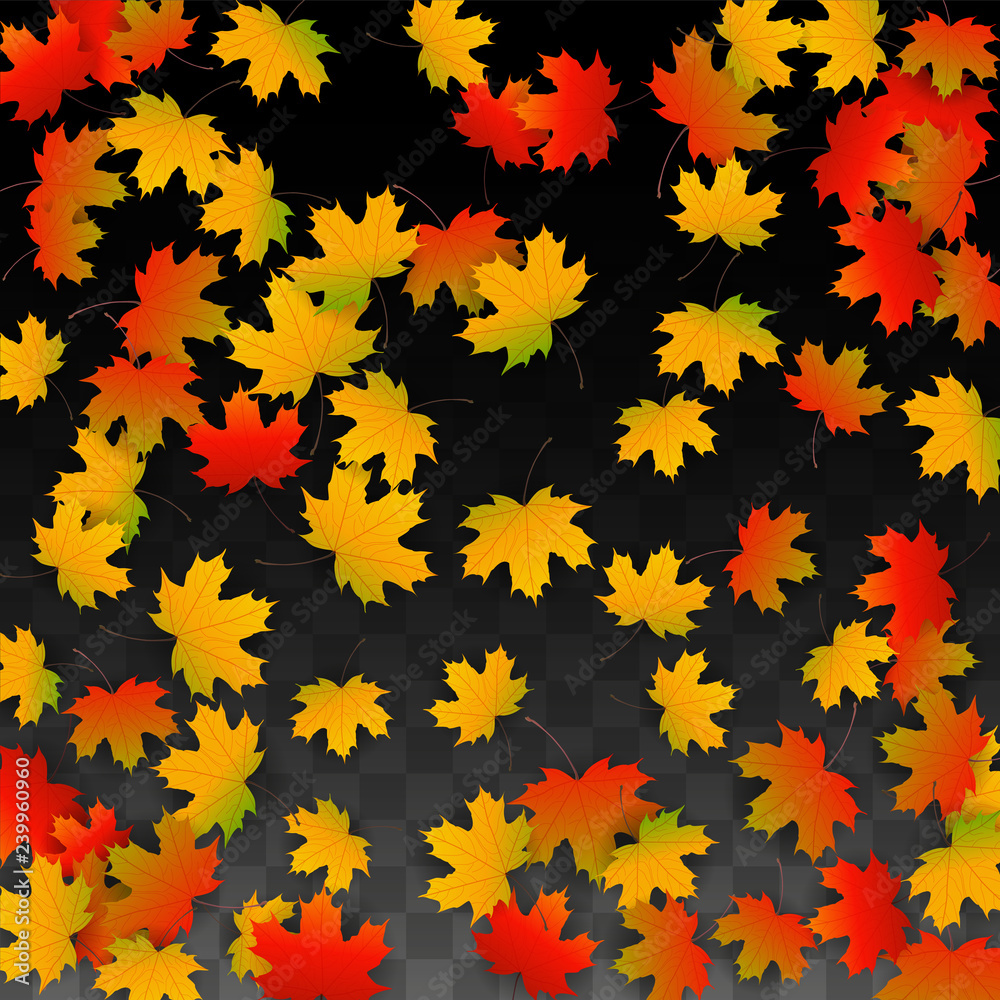 September Vector Background with Golden Falling Leaves. Autumn Illustration with Maple Red, Orange, Yellow Foliage. Isolated Leaf on Transparent Background. Bright Swirl. Suitable for Posters. September Vector Background with Golden Falling Leaves. Autumn Illustration with Maple Red, Orange, Yellow Foliage. Isolated Leaf on Transparent Background. Bright Swirl. Suitable for Posters.