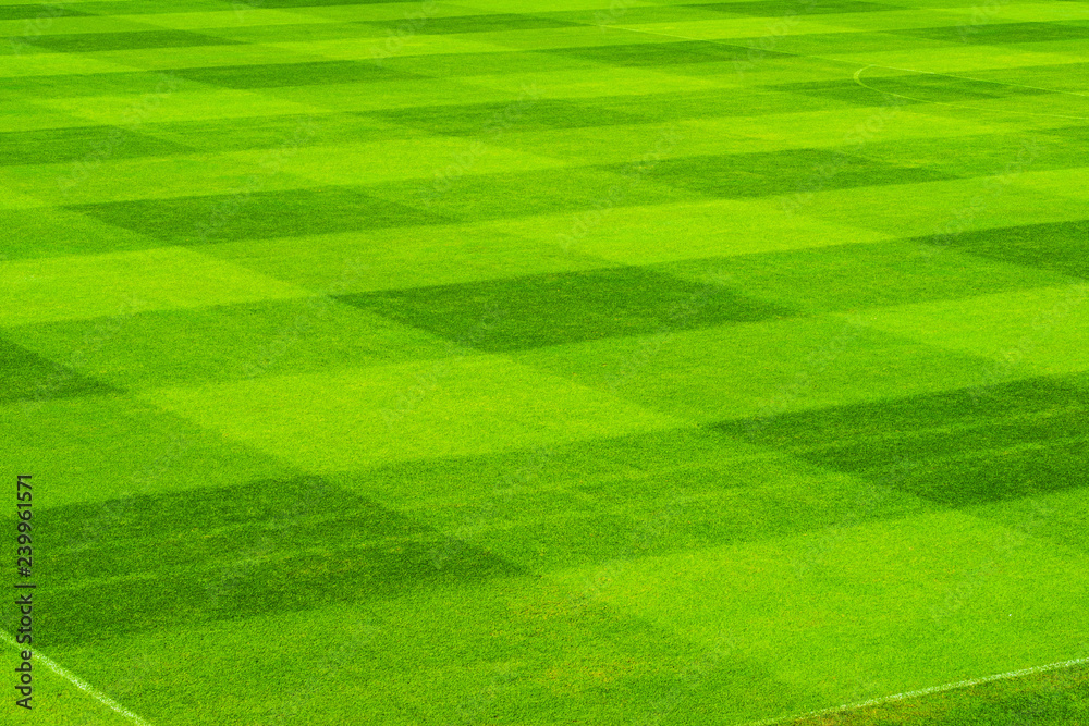 Square pattern on green grass soccer field