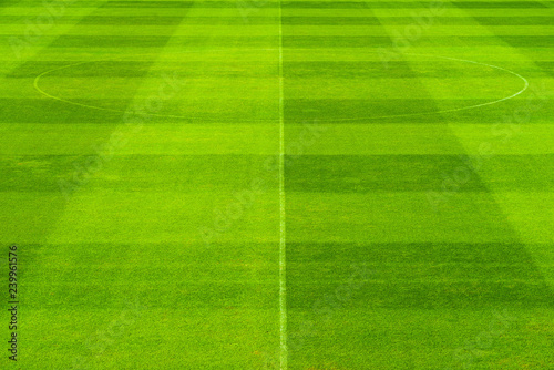 Pattern of green grass soccer field with center circle © oppdowngalon