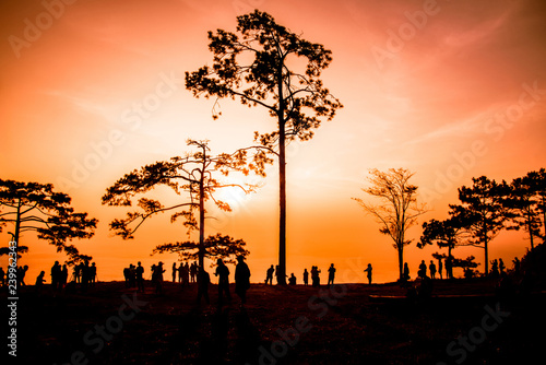 phu kradueng national park loei thailand silhouette pine tree sunset mountain dramatic sky