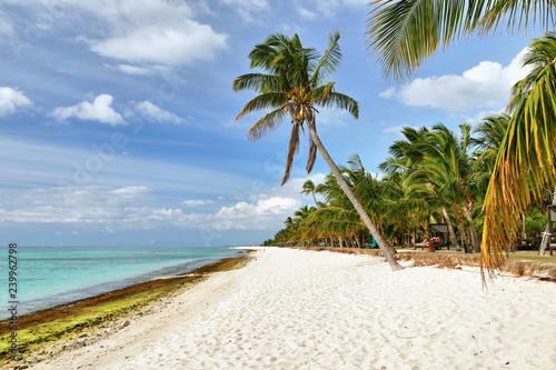 Exotic beach. Mauritius island