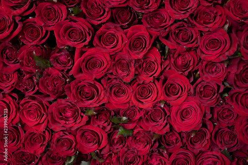 Close up view of claret roses bouquet. Red roses background. Top view.