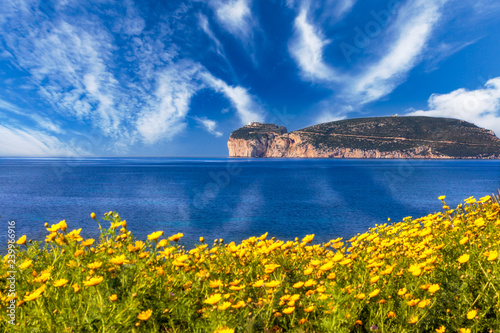 Capo Caccia Panorama 04