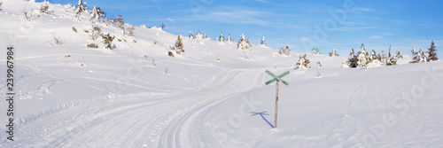 Cross-country trail through a snowy landscape in Trysil, Norway photo