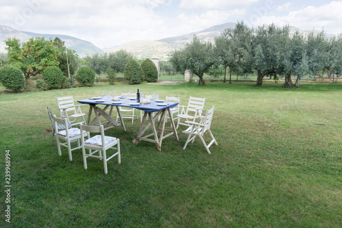 Table Set for Lunch/Dinner Garden Party in garden Sicily