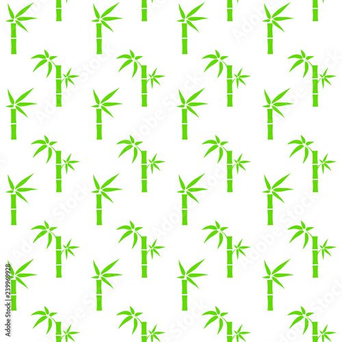 Fototapeta Naklejka Na Ścianę i Meble -  Green bamboo seamless pattern isolated on white background.