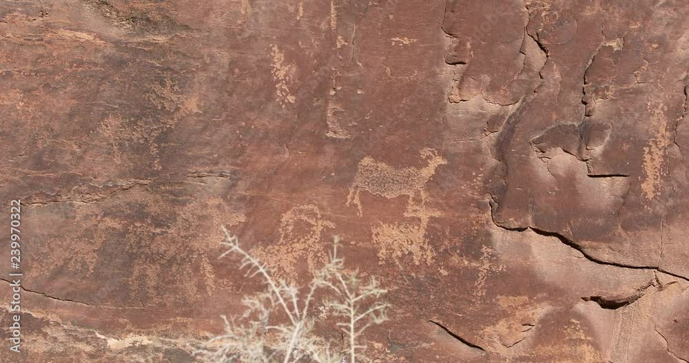 Vídeo do Stock Indian rock art ancient engraving Utah. Nine Mile