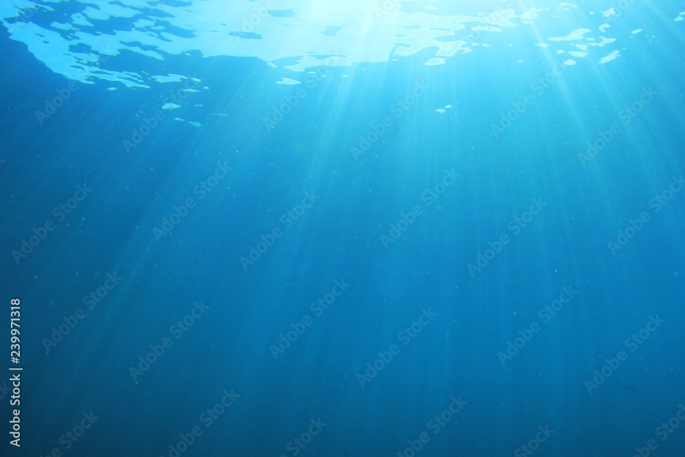 Fototapeta premium Underwater blue background