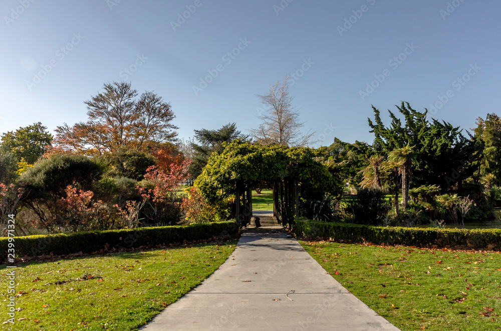 Park on Rotorua, New Zealand