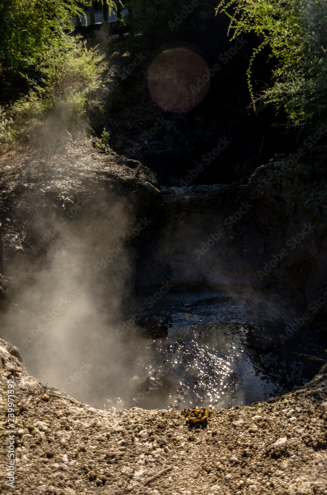 Obraz premium Bubbling hot mud pool in Rotorua, New Zealand